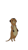 Dark Brown Meerkat